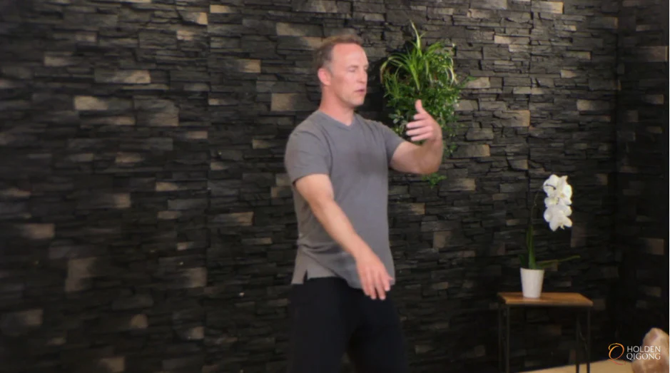 Qi Gong for Better Sleep Workshop - Image 3