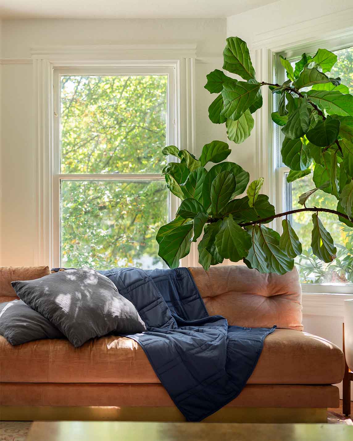 Baloo Living | Weighted Blanket - Image 13