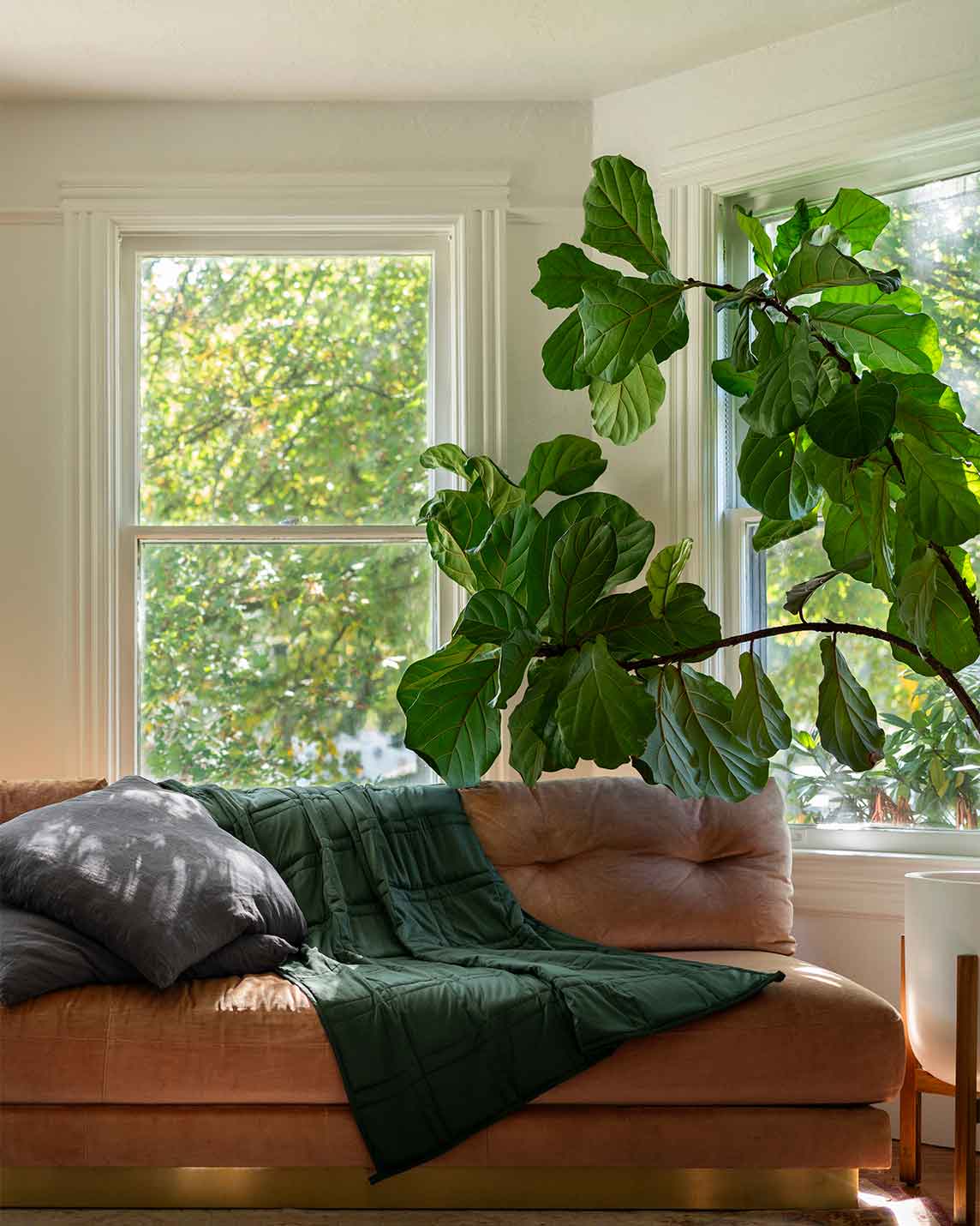 Baloo Living | Weighted Blanket - Image 30